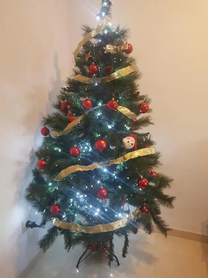 Apartamento Gloria 2 Málaga